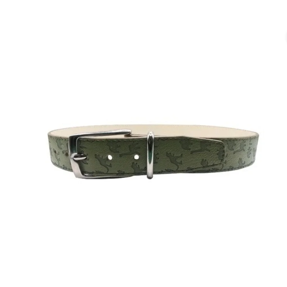 WONDER NATION Boys Size Medium Green Dinousaur Belt w/‎ Silver Buckle NWT